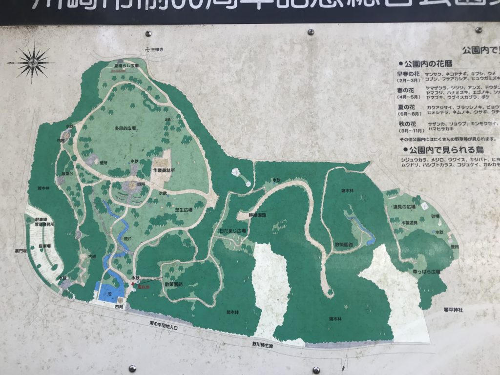 王禅寺ふるさと公園 園内地図